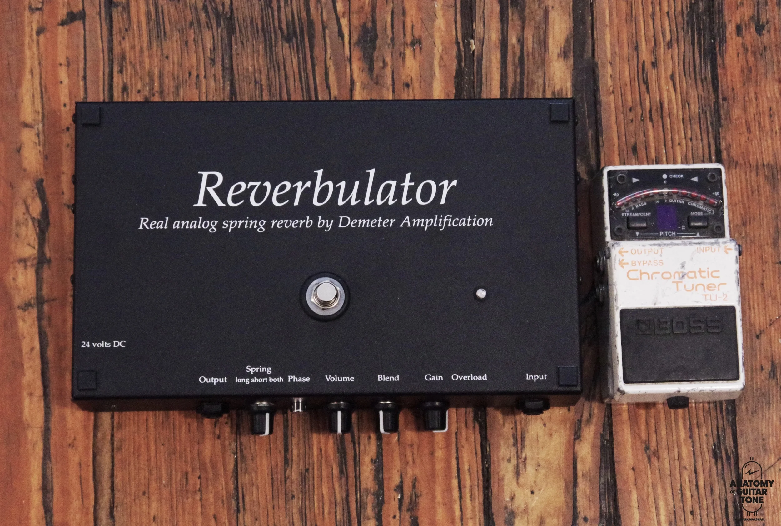 Demeter Reverbulator Analog Spring Reverb Pedal — Anatomy of Tone